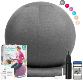 ProBalance Ball Chair, Yoga Ball Chair Exercise Ball Chair with Slipcover and Base for Home Office Desk, Birthing & Pregnancy, Stability Ball & Balance Ball Seat to Relieve Back Pain, Multiple color size